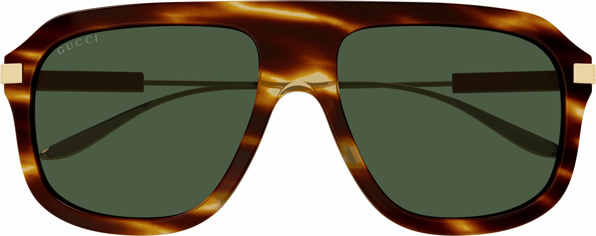 Gucci GG1309S