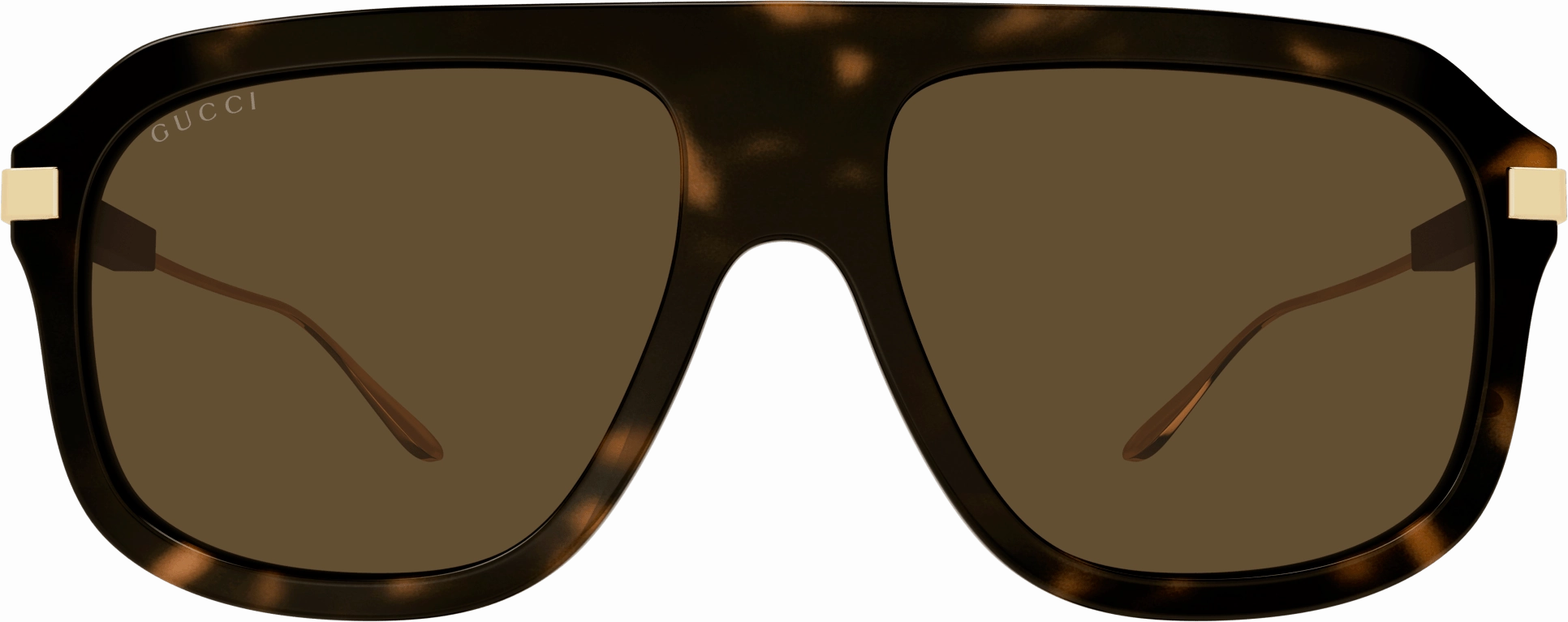 Gucci GG1309S