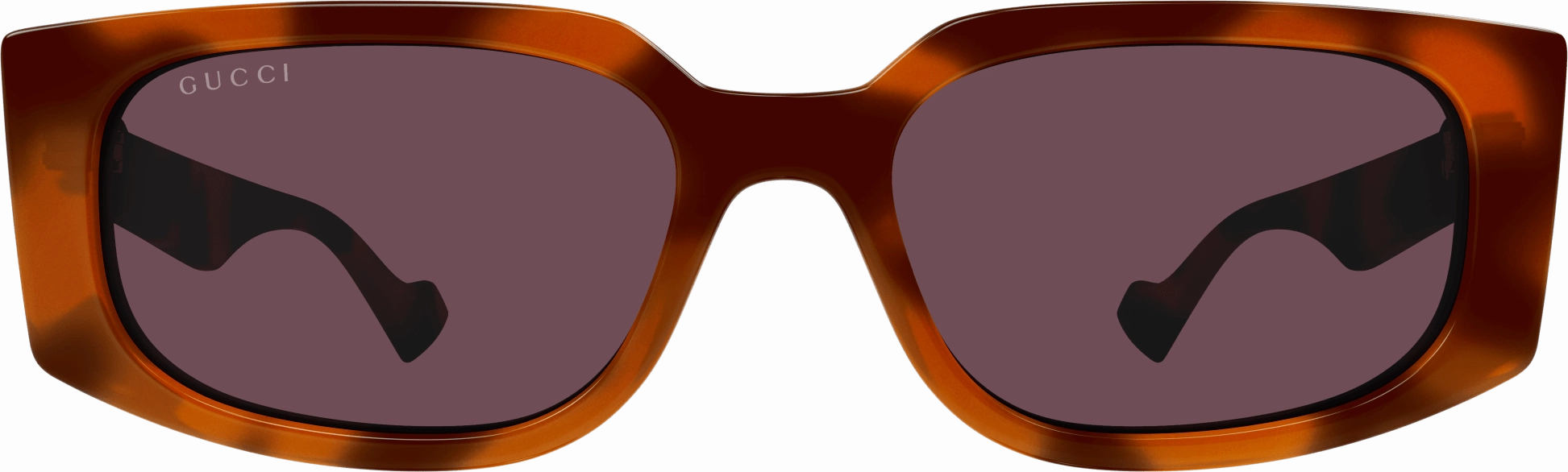 Gucci GG1534S