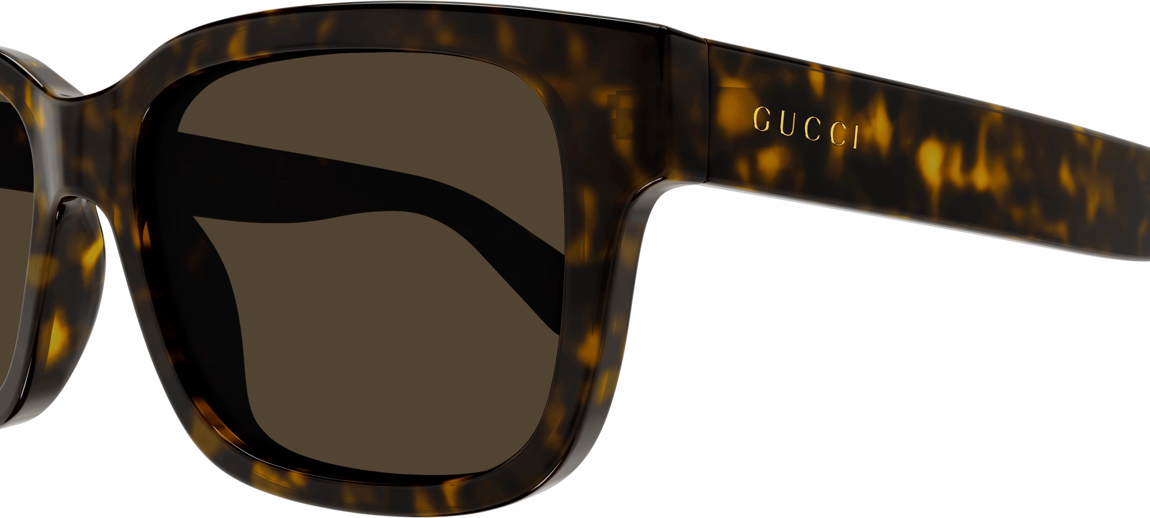 Gucci GG1583S