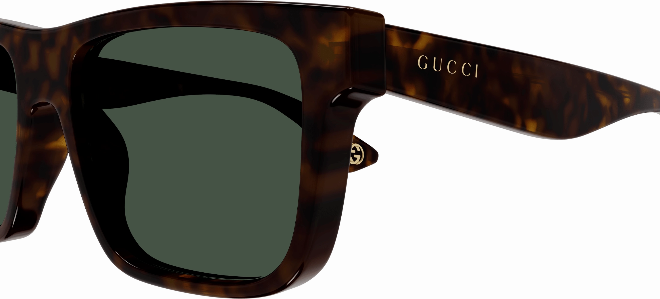 Gucci GG1618S