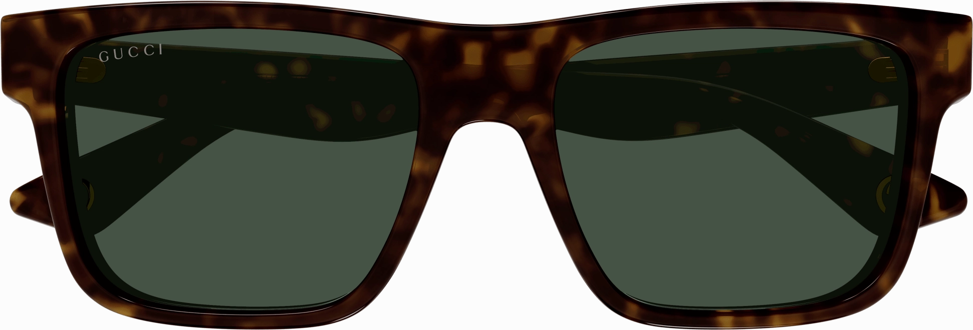 Gucci GG1618S
