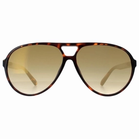 Guess Brown Lens Dark Havana Brown Sunglasses