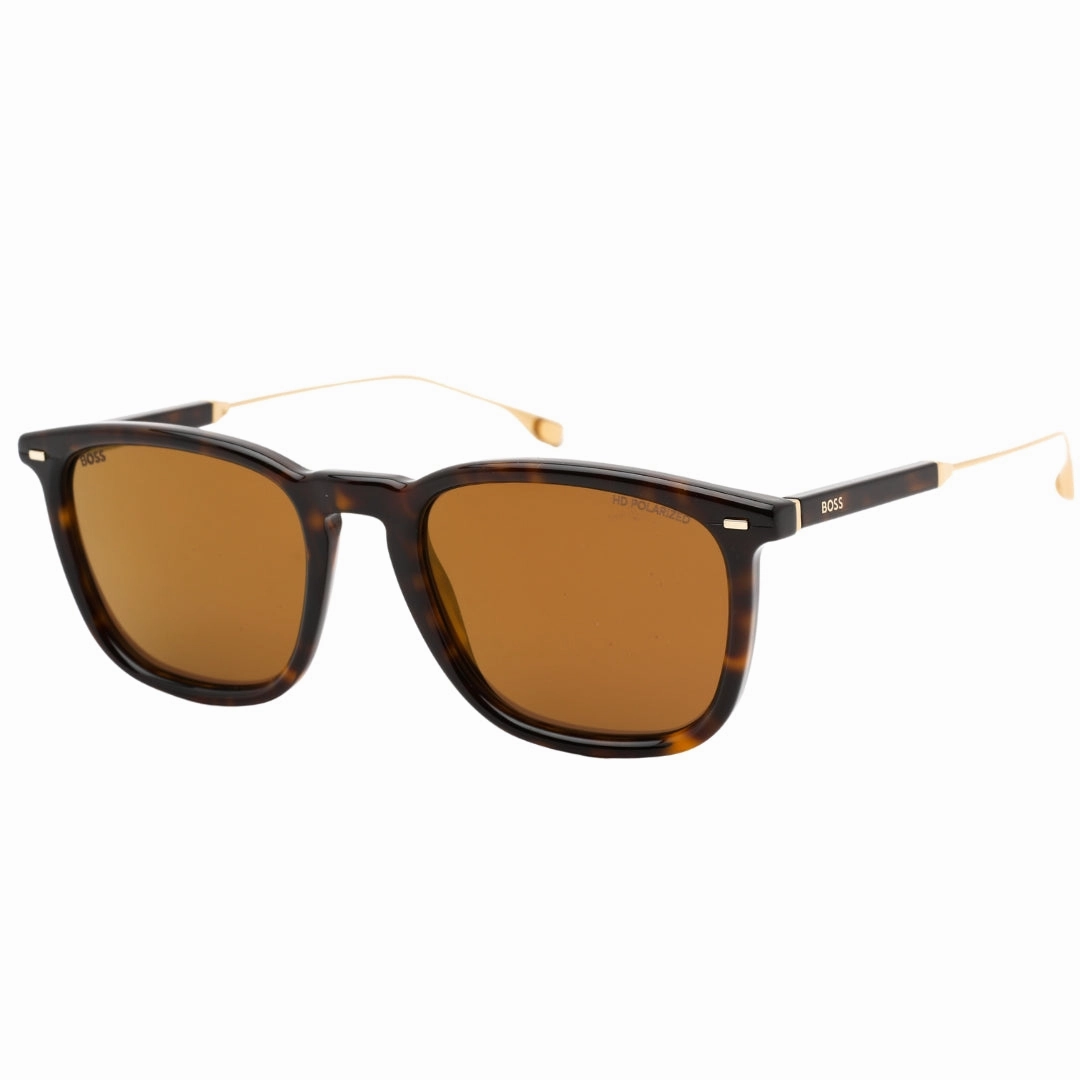 Hugo Boss Brown Lensed Havana Brown Sunglasses