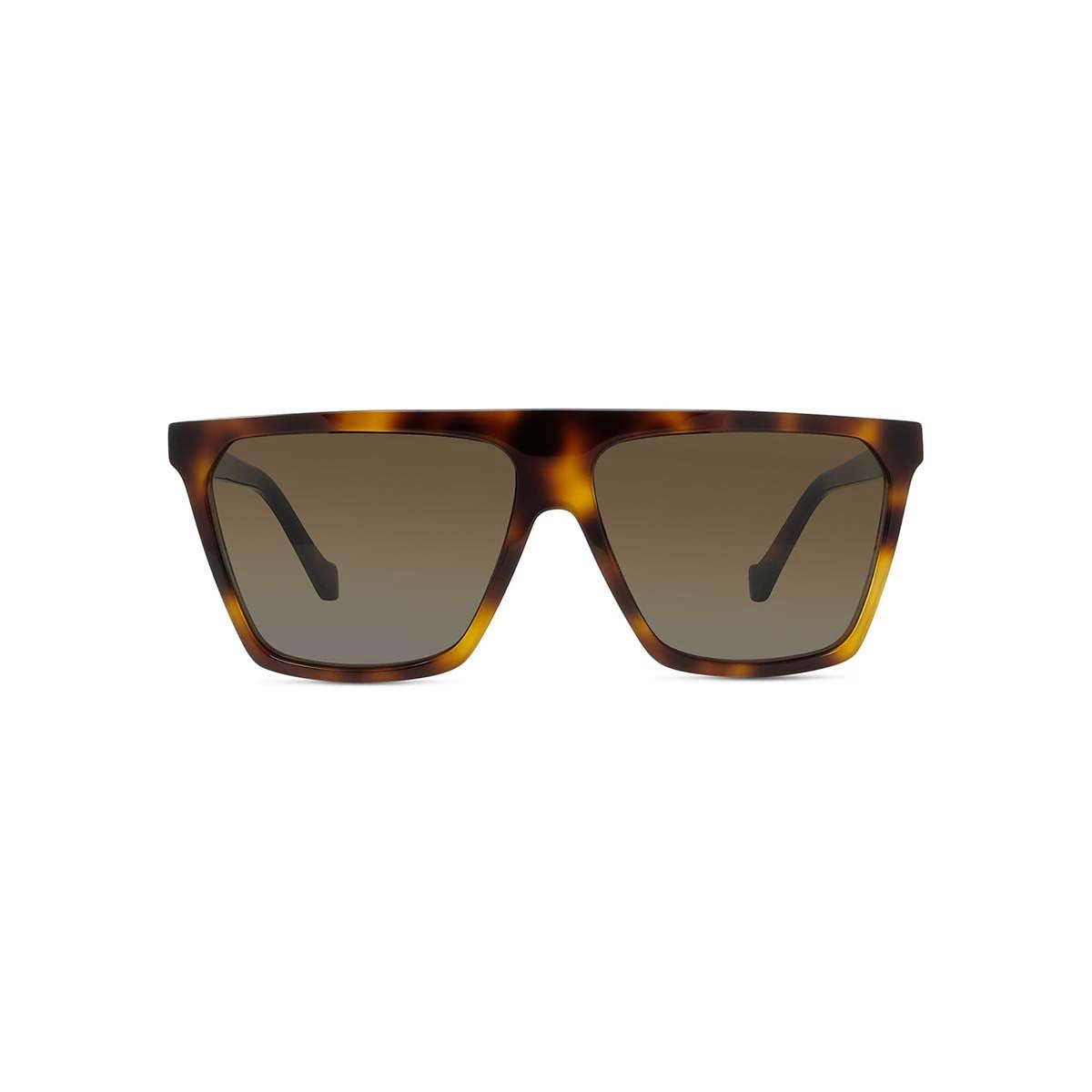 Loewe LW40060I 53F 60 Unisex Sunglasses