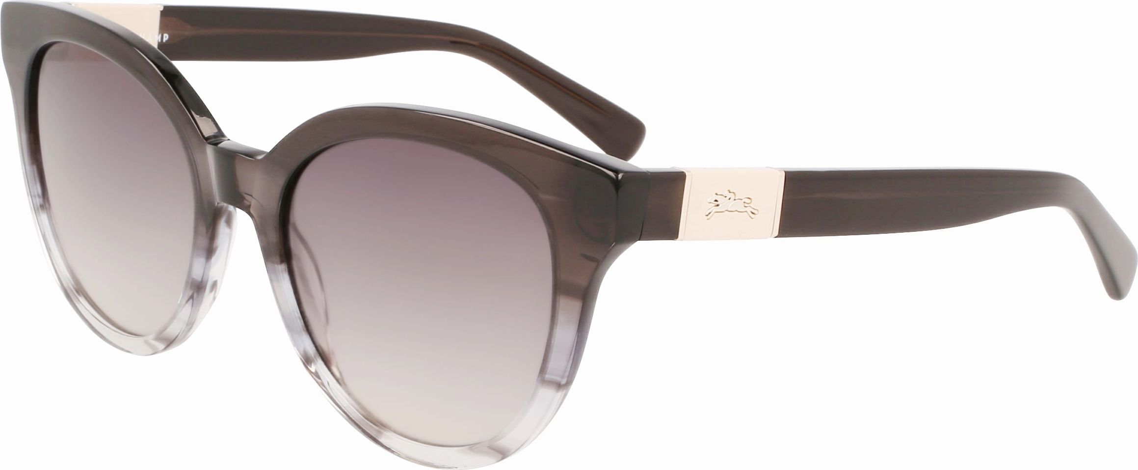 Longchamp LO697S