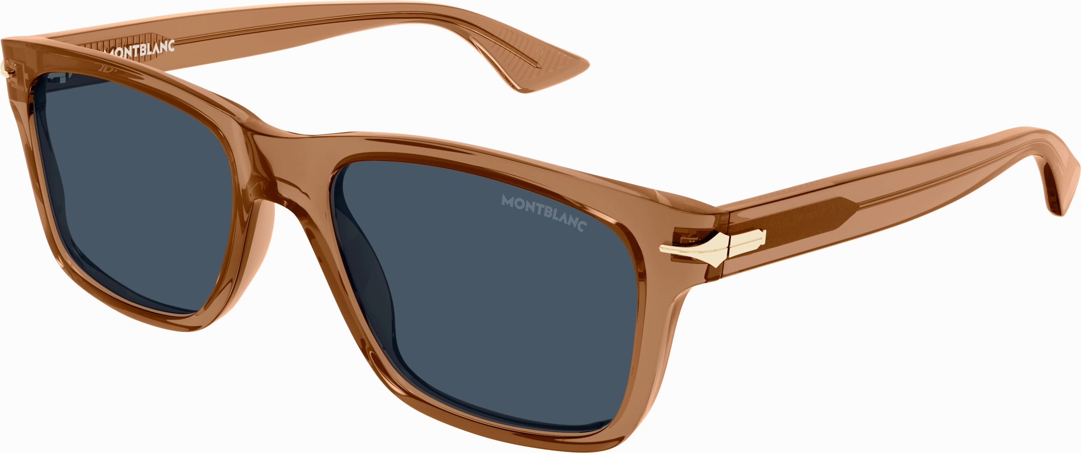 Montblanc MB0263S