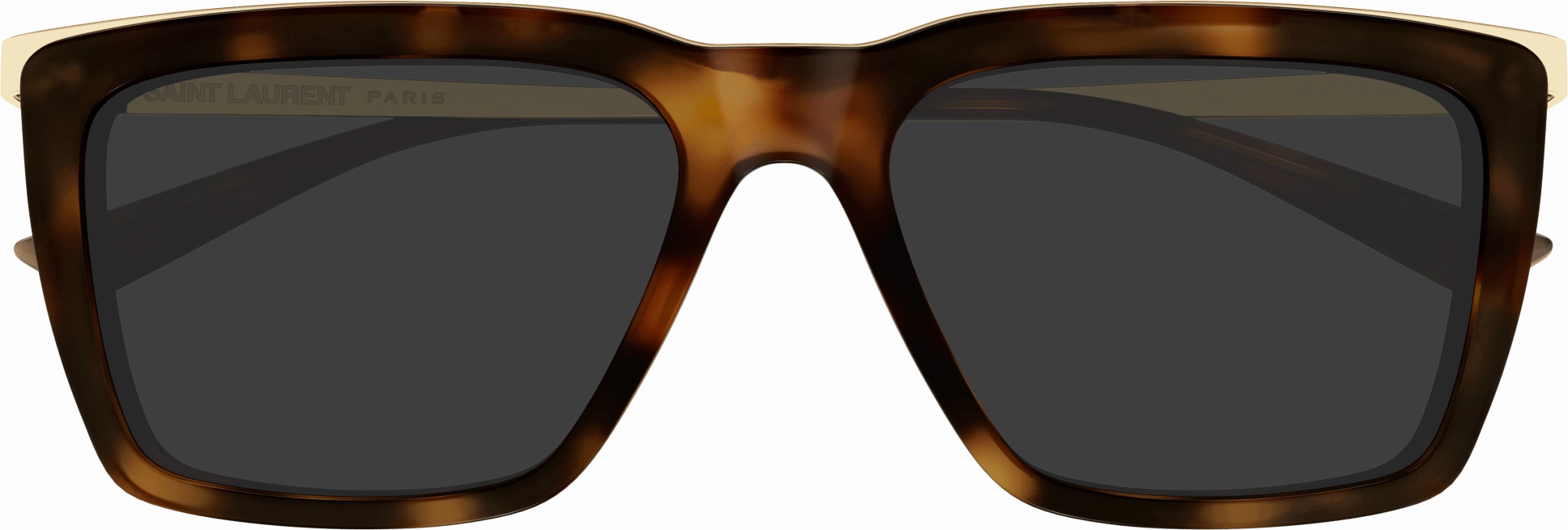 Saint Laurent SL 765