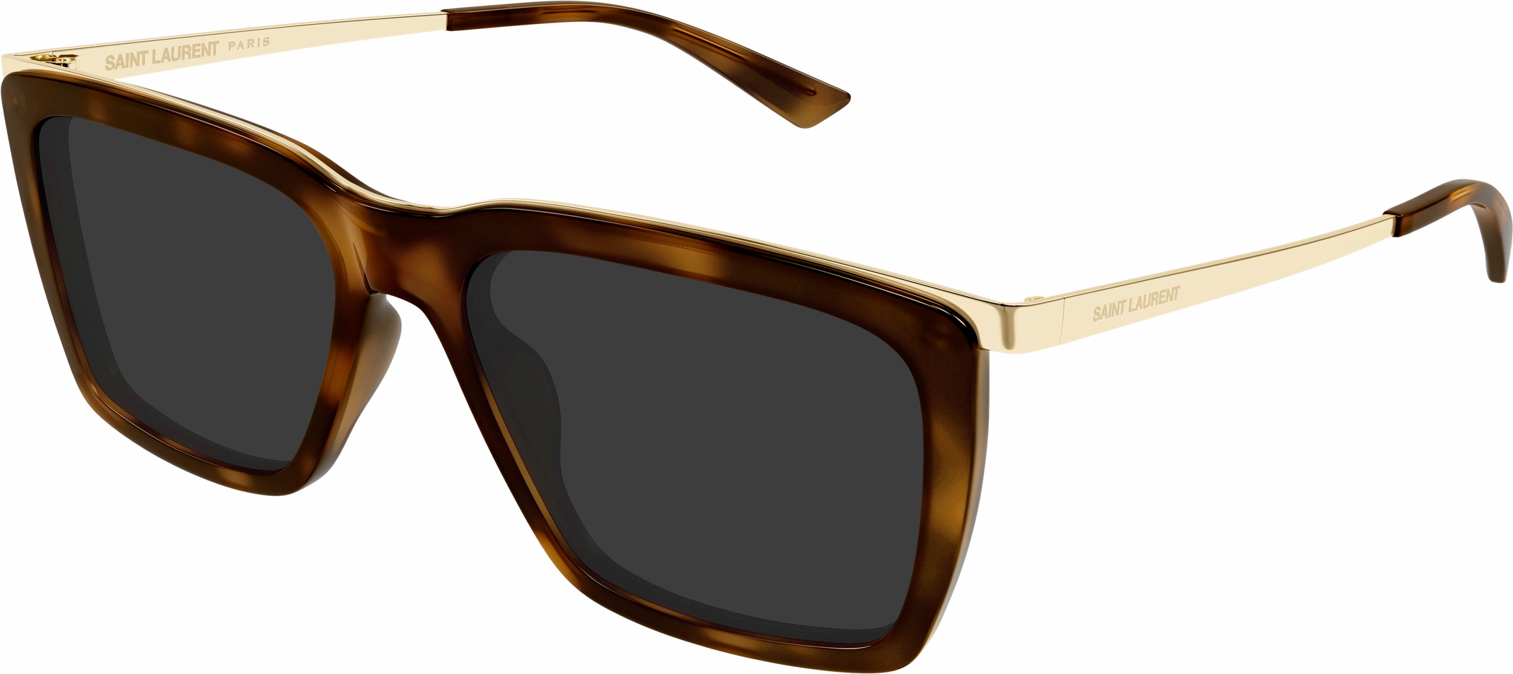 Saint Laurent SL 765