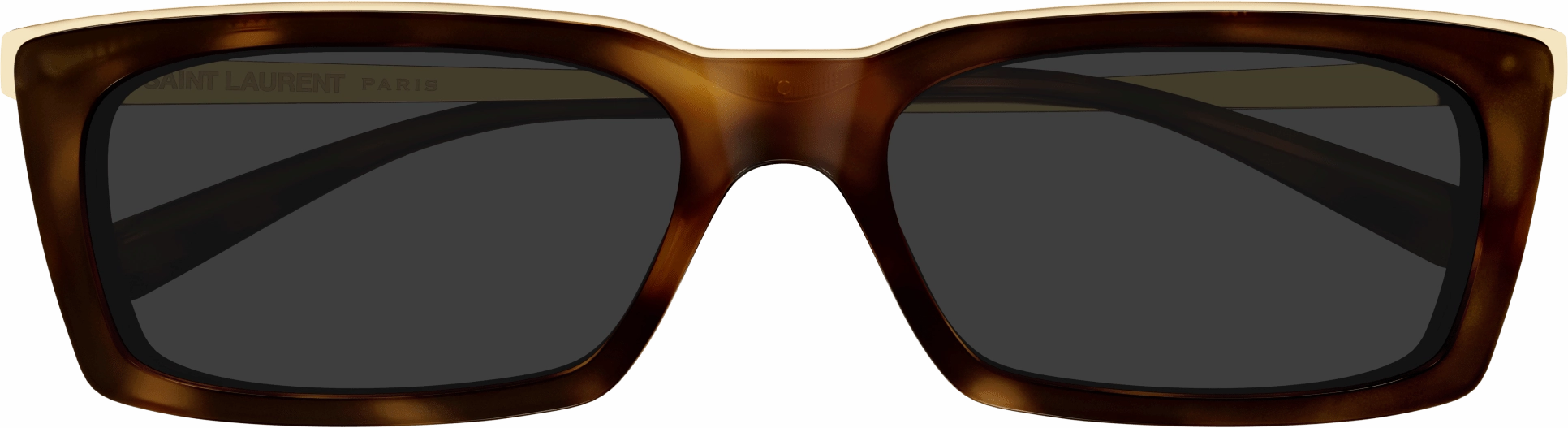 Saint Laurent SL 766/F