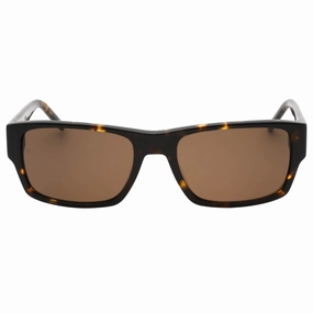 Tommy Hilfiger Brown Lens Havana Sunglasses