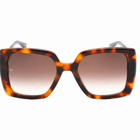 Tommy Hilfiger Brown SF Lens Havana 2 Brown Sunglasses