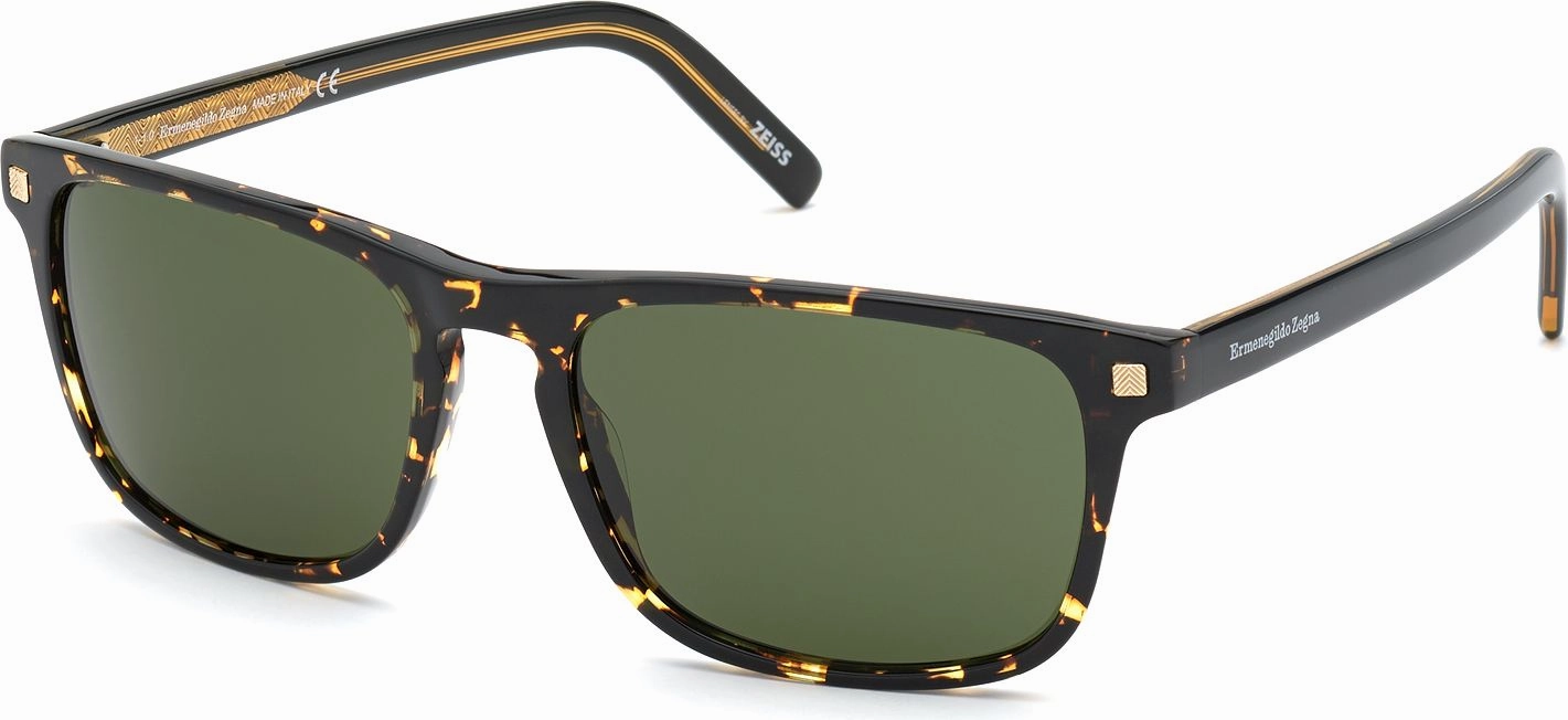 Zegna EZ0173