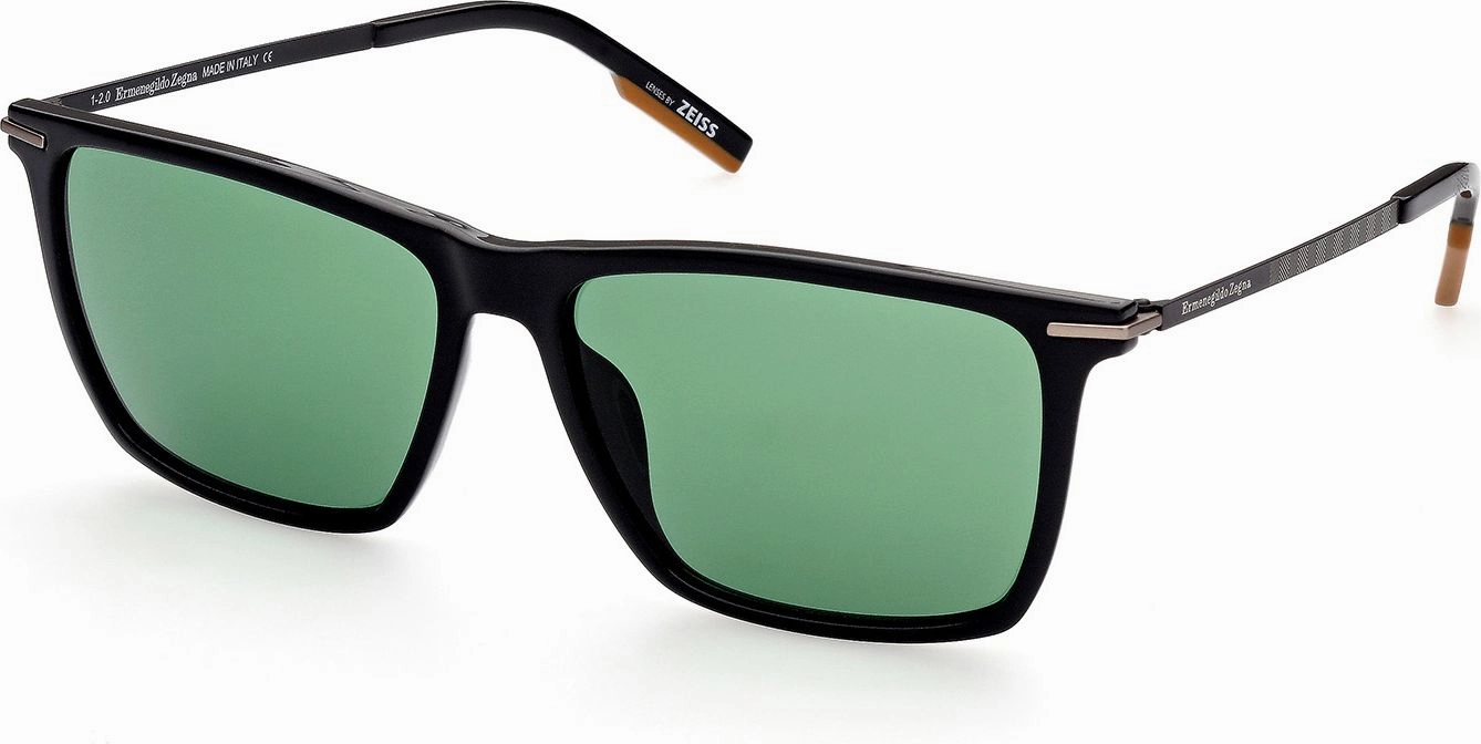 Zegna EZ0184