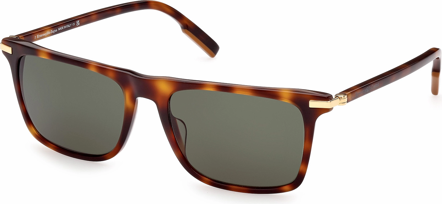 Zegna EZ0204