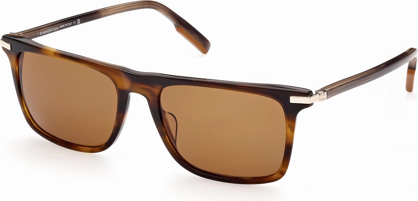 Zegna EZ0204