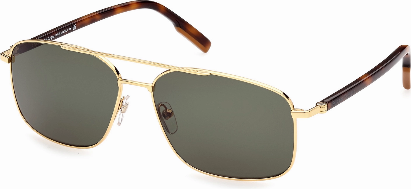 Zegna EZ0205