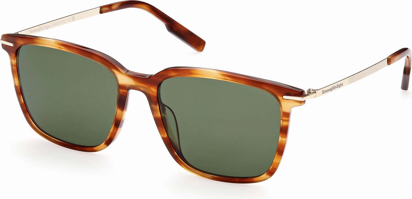 Zegna EZ0206