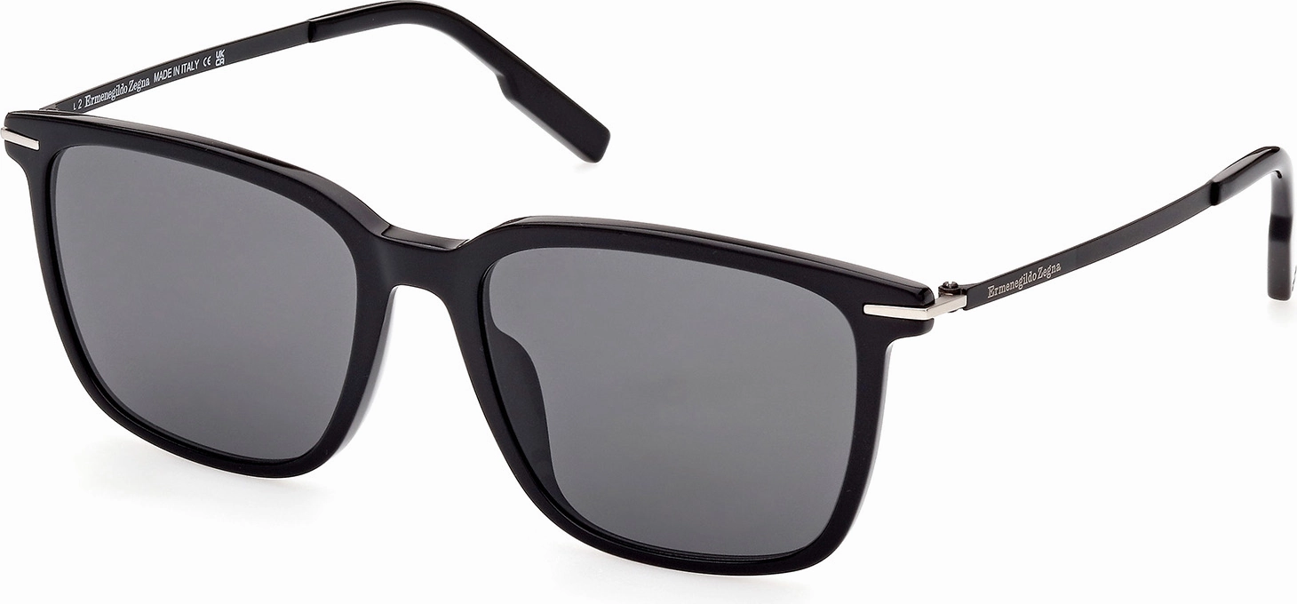 Zegna EZ0206