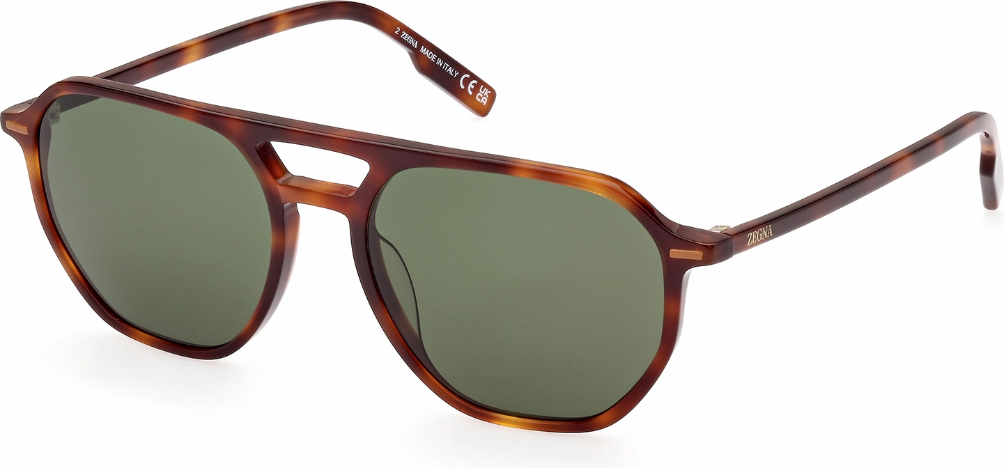 Zegna EZ0212