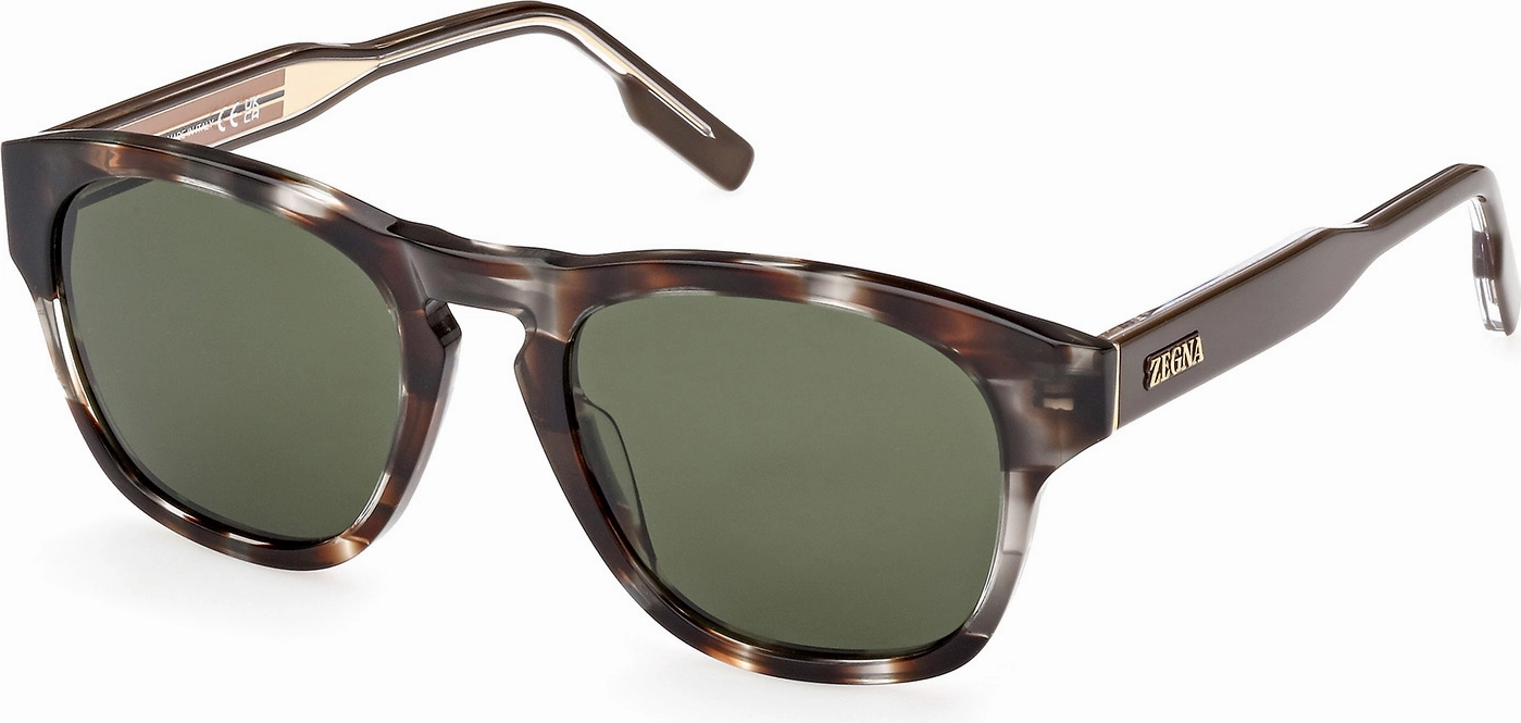 Zegna EZ0221