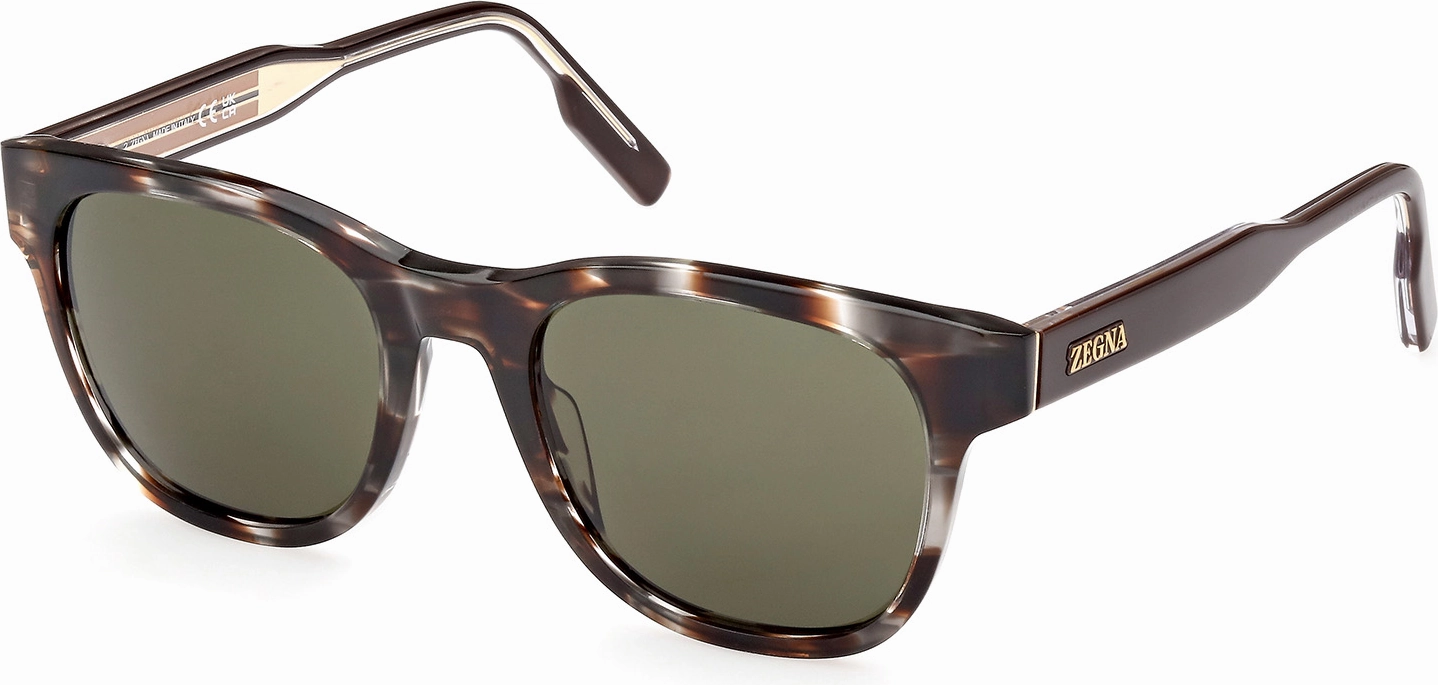 Zegna EZ0222