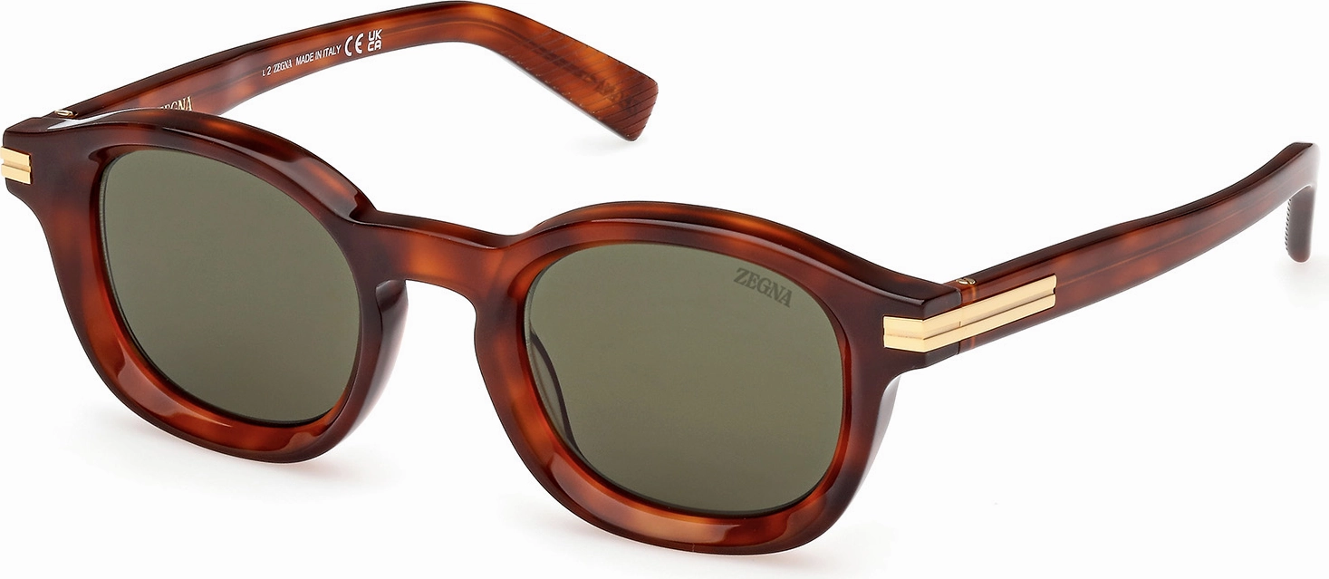 Zegna EZ0229