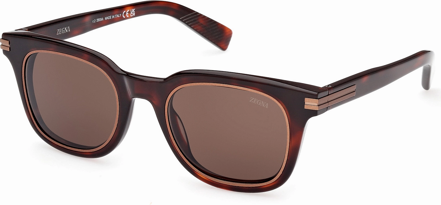 Zegna EZ0238