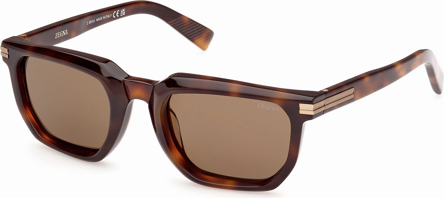 Zegna EZ0240