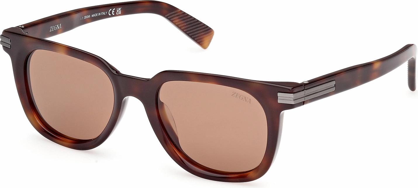 Zegna EZ0248