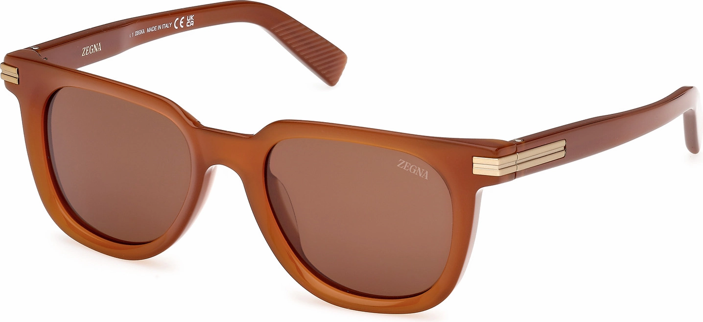 Zegna EZ0248